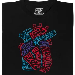 getDigital Wissenschaft^Anatomie des Herzens