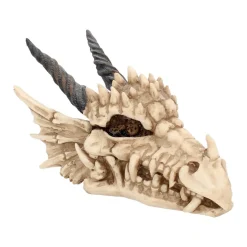 Nemesis Now Aufbewahrung^Drachenschädel-Aufbewahrungsbox