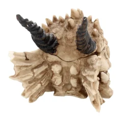 Nemesis Now Aufbewahrung^Drachenschädel-Aufbewahrungsbox