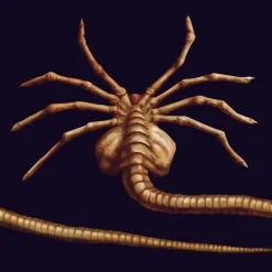 getDigital Accessoires^Facehugger-Multifunktionstuch