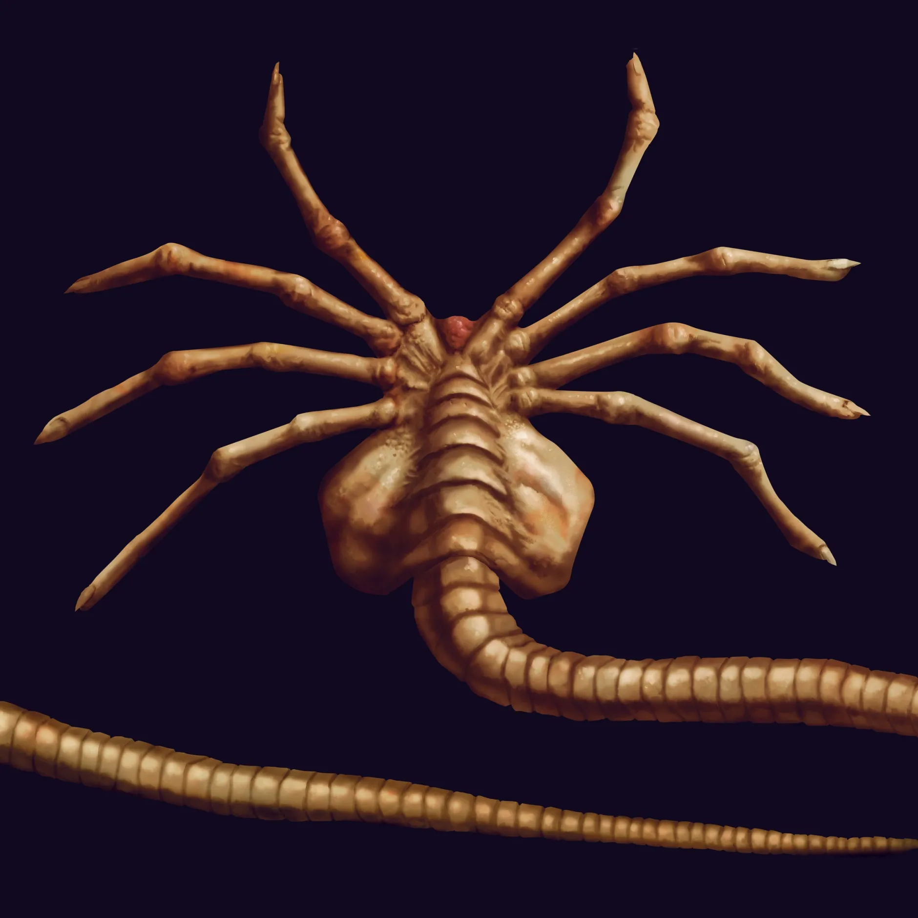 getDigital Accessoires^Facehugger-Multifunktionstuch