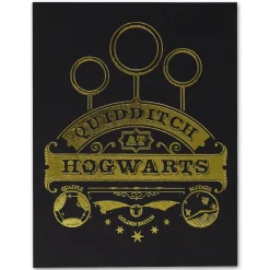 Fanattik Accessoires|Schmuck^Harry Potter Limited Edition Goldener Schnatz Pin