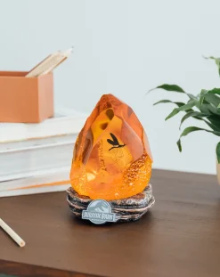 Jurassic Park Licht^Lampe: Bernstein mit Mosquito