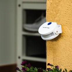 InnovAdvance Draußen^Katzenklingel