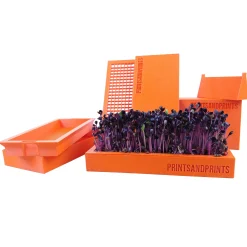 printsandprint Küche^Microgreens Starter Kit